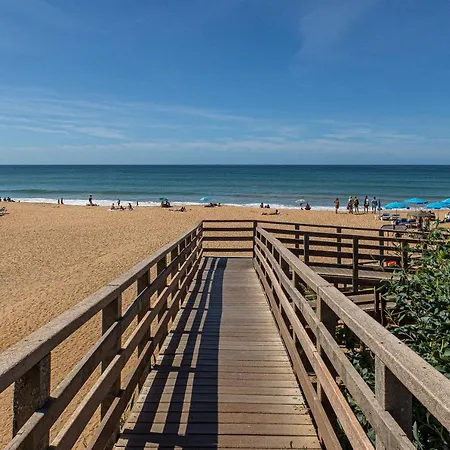 Yangmar By Alzira Albufeira