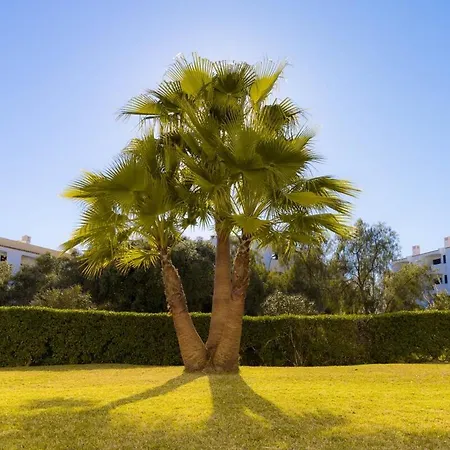 Yangmar By Alzira Apartmán Albufeira