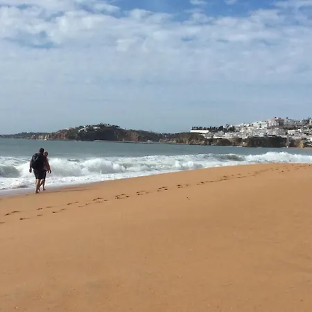 Yangmar By Alzira Albufeira