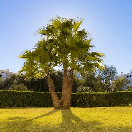 Appartement Yangmar By Alzira *