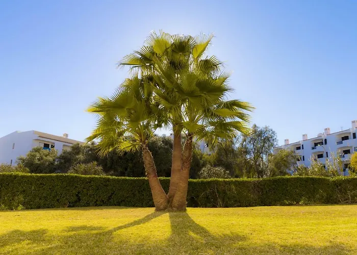 Διαμέρισμα Yangmar By Alzira *