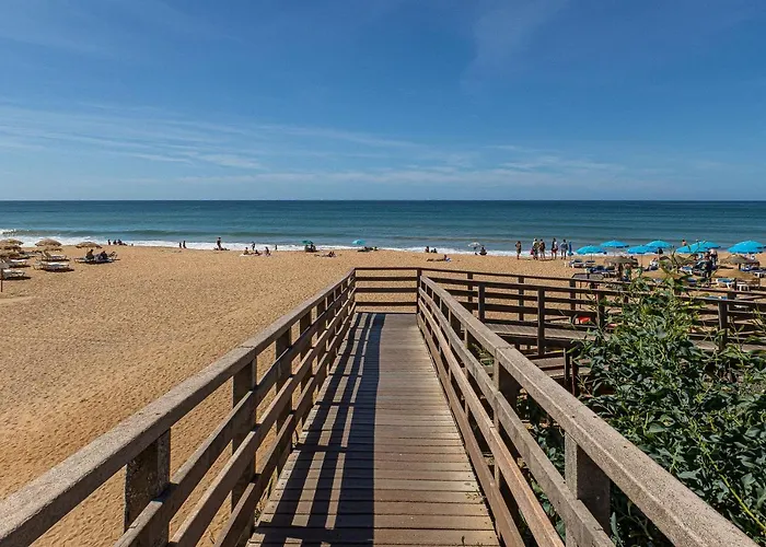 Yangmar By Alzira Albufeira