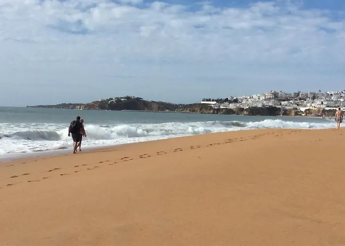 Yangmar By Alzira Albufeira