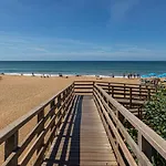 Yangmar By Alzira Albufeira